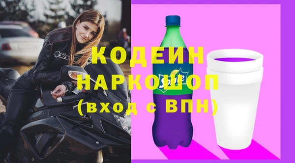 молекула духа Арсеньев