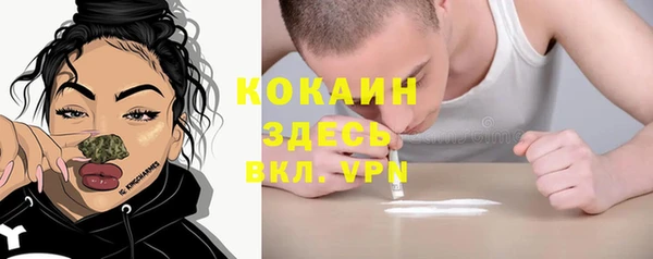 молекула духа Арсеньев