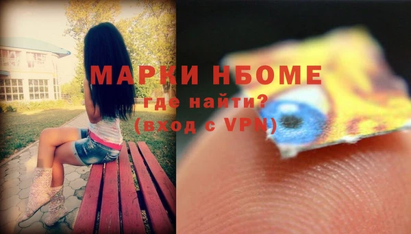 молекула духа Арсеньев