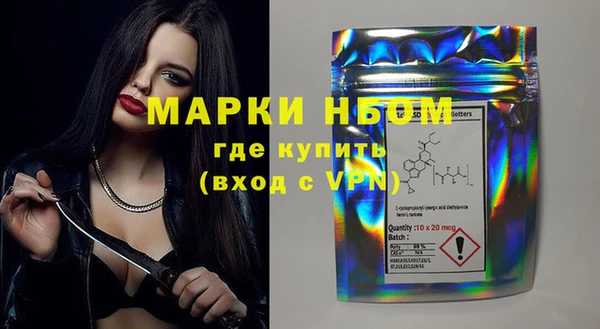 молекула духа Арсеньев