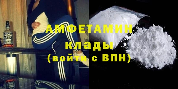 молекула духа Арсеньев