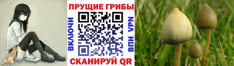 Галлюциногенные грибы ЛСД  Купить где  Углегорск 